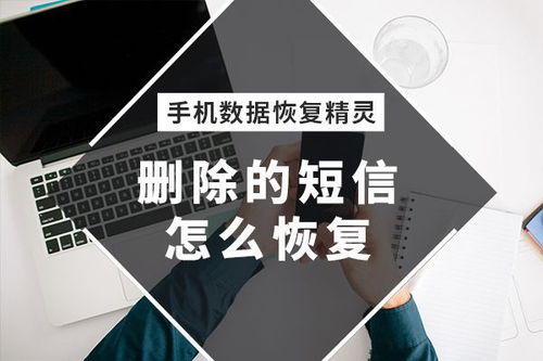華為手機短信刪除后如何恢復？兩種最實用的恢復方法